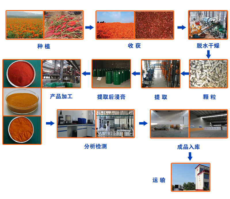 工艺流程.png